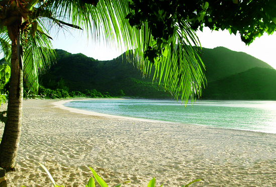 A serene tropical beach scene with clear turquoise water gently lapping against a sandy shore. The beach is lined with lush green palm trees, and in the background, there are verdant hills covered in dense foliage. The sky is clear, and the overall atmosphere is peaceful and inviting.